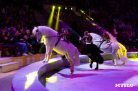 Цирковое шоу Жар птица, Фото: 140