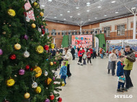 Фестиваль «Шар-папье»: Тульский кремль украсили огромные новогодние бусы, Фото: 24