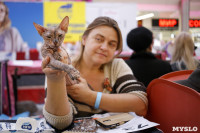 Выставка кошек в "Макси", Фото: 39