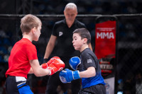 В «Тула-Арене» состоялись областные соревнования по ММА, Фото: 69