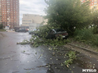 Дерево упало на авто, Фото: 1