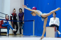Художественная гимнастика, Фото: 52
