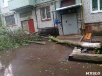 Ураган в Ефремове: последствия, Фото: 18