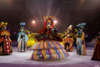 Выпускной бал в Тульском цирке, Фото: 86