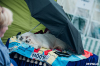 Всероссийская выставка собак в Туле, Фото: 122