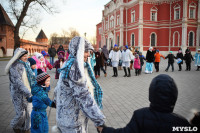 В Тульском кремле открылась новогодняя елка, Фото: 3