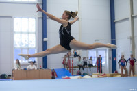Всероссийские соревнования по спортивной гимнастике, Фото: 94