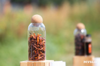 Пикник как из Pinterest: чем запомнился гастрофестиваль «Август», Фото: 105