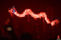 Килотонны света и звука: в Туле прошел концерт рокеров из Radio Tapok, Фото: 23