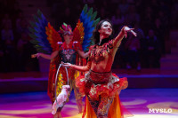 Цирковое шоу Жар птица, Фото: 66