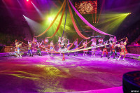 Шоу Гии Эрадзе «5 континентов» в Тульском цирке: феерия уже началась!, Фото: 106