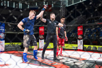 В «Тула-Арене» состоялись областные соревнования по ММА, Фото: 28