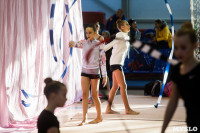 Всероссийские соревнования по художественной гимнастике на призы Посевиной, Фото: 42