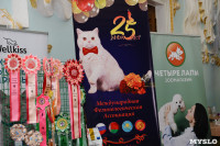 Выставка кошек в Туле, Фото: 25