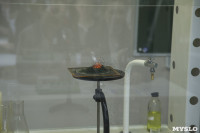 Открытие химического класса в щекинском лицее, Фото: 53