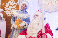 В Туле открылась резиденция Деда Мороза, Фото: 52