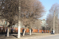 Субботник в Новомосковске. 12.04.2014, Фото: 7