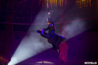 Шоу фонтанов «13 месяцев» в Тульском цирке – подарите себе и близким путевку в сказку!, Фото: 3