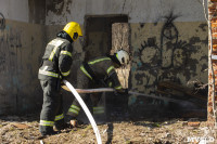В Туле провели тренировку по тушению ландшафтного пожара, Фото: 61