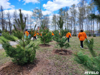 ЕВРАЗ посадил в Пролетарском парке 100 деревьев, Фото: 58