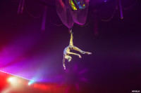 Шоу Гии Эрадзе «5 континентов» в Тульском цирке: феерия уже началась!, Фото: 69