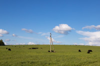 Тишина, солнце и бесконечный простор: 90 красивых фото с родины слонов – Одоевского района, Фото: 49