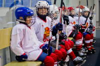 Детский хоккейный турнир на Кубок «Skoda», Новомосковск, 22 сентября, Фото: 12