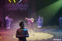 «Чудеса Новогодней Ёлки» ждут вас в Тульском цирке, Фото: 108