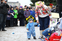 Открытие елки на площади искусств. 19.12.2014, Фото: 36