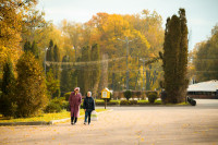 Золотая осень в Центральном парке, Фото: 5