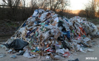Столичный мусор в Тульской области, Фото: 10