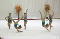 Соревнования по художественной гимнастике "Осенний вальс", Фото: 51