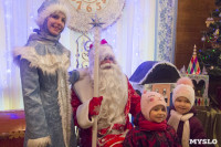 В Туле открылась резиденция Деда Мороза, Фото: 41