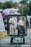 Всероссийская выставка собак в Туле, Фото: 18
