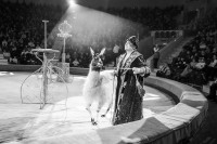 "Чудеса под Новый год" в Тульском цирке, Фото: 55