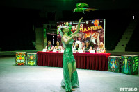Новое шоу «Дикая планета» в Тульском цирке, Фото: 6