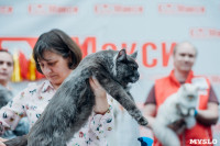 Выставка "Пряничные кошки" в ТРЦ "Макси", Фото: 43