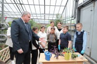  В тульской школе отремонтировали уникальную оранжерею с экзотическими растениями, Фото: 45