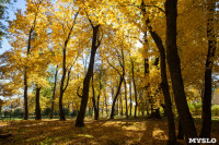 Золотая осень в Ясной Поляне, Фото: 38