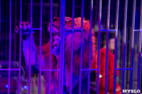 Шоу фонтанов «13 месяцев» в Тульском цирке – подарите себе и близким путевку в сказку!, Фото: 81