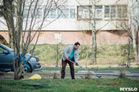 Посадка деревьев во дворе на ул. Максимовского, 23, Фото: 37