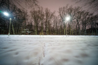Вечерний снегопад, Фото: 21
