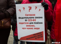 Митинг против закона "о шлепкАх", Фото: 1