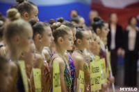 Всероссийский турнир по художественной гимнастике, Фото: 22