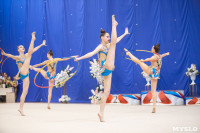 Соревнования по художественной гимнастике на призы благотворительного фонда «Земляки», Фото: 95