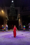 Успейте посмотреть шоу «Новогодние приключения домовенка Кузи» в Тульском цирке, Фото: 157