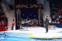 Цирк на воде «Остров сокровищ» в Туле: Здесь невозможное становится возможным, Фото: 91
