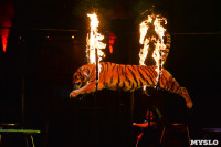 Цирковое шоу, Фото: 123