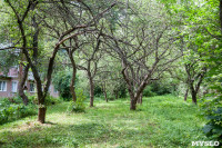 Яблоневый сад и роща на ул. Серова, Фото: 8