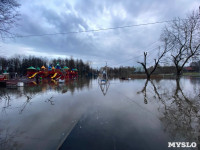 В Туле затопило Баташевский сад, Фото: 10